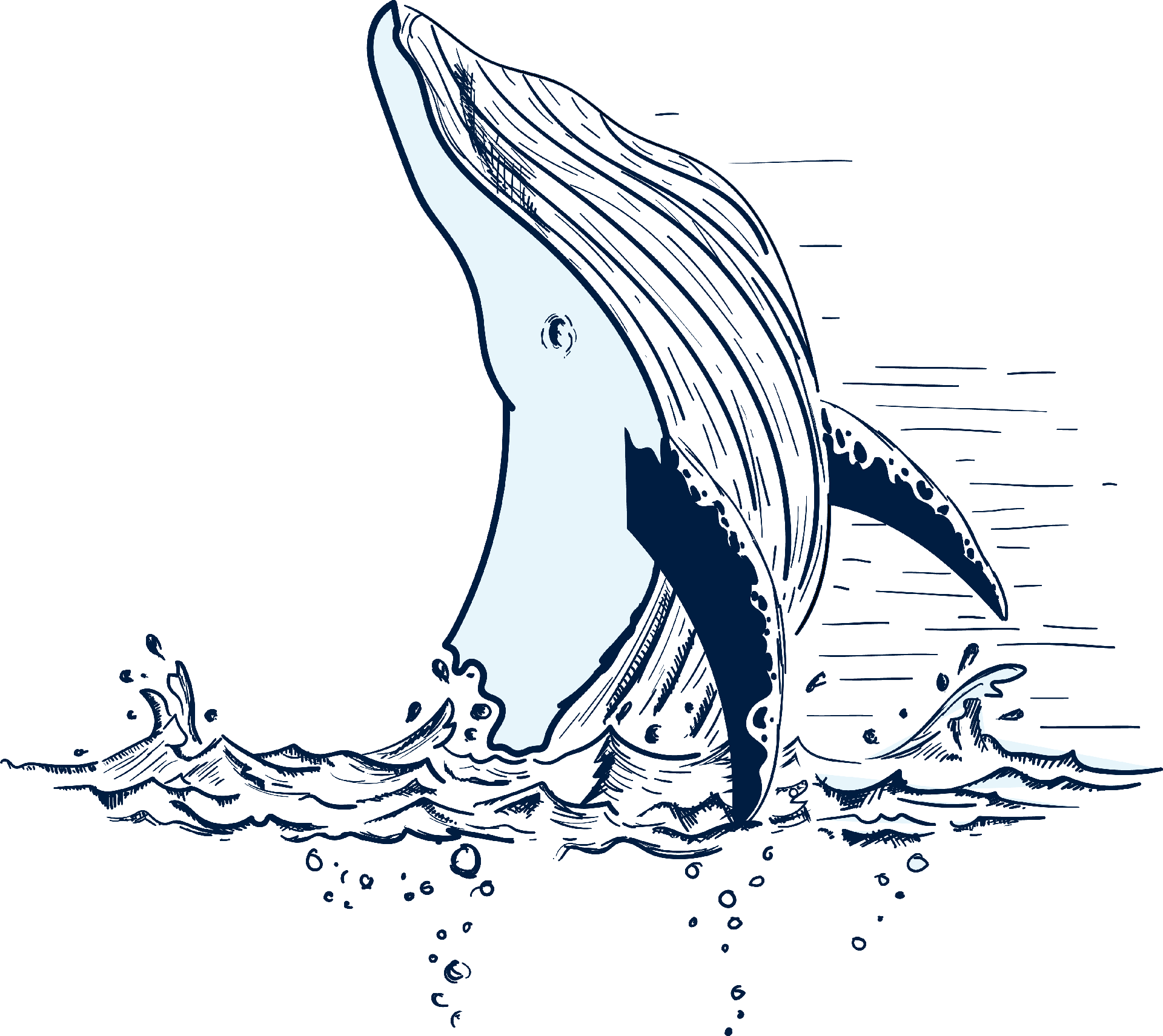 Odoo • Texte et Image