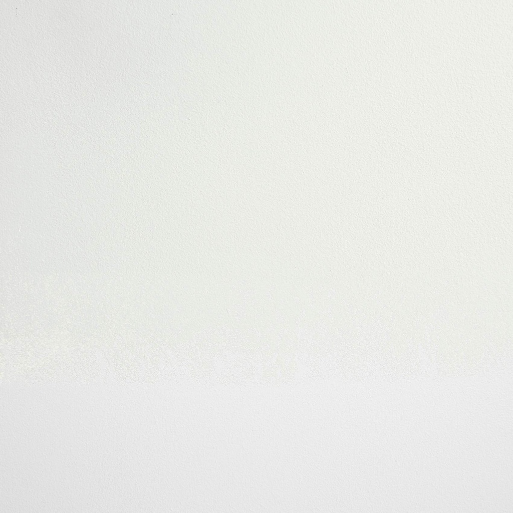 CONSCIENT & Candide - Blanc