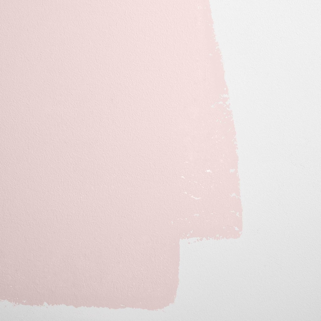 CONSCIENT & Intrépide - Rose