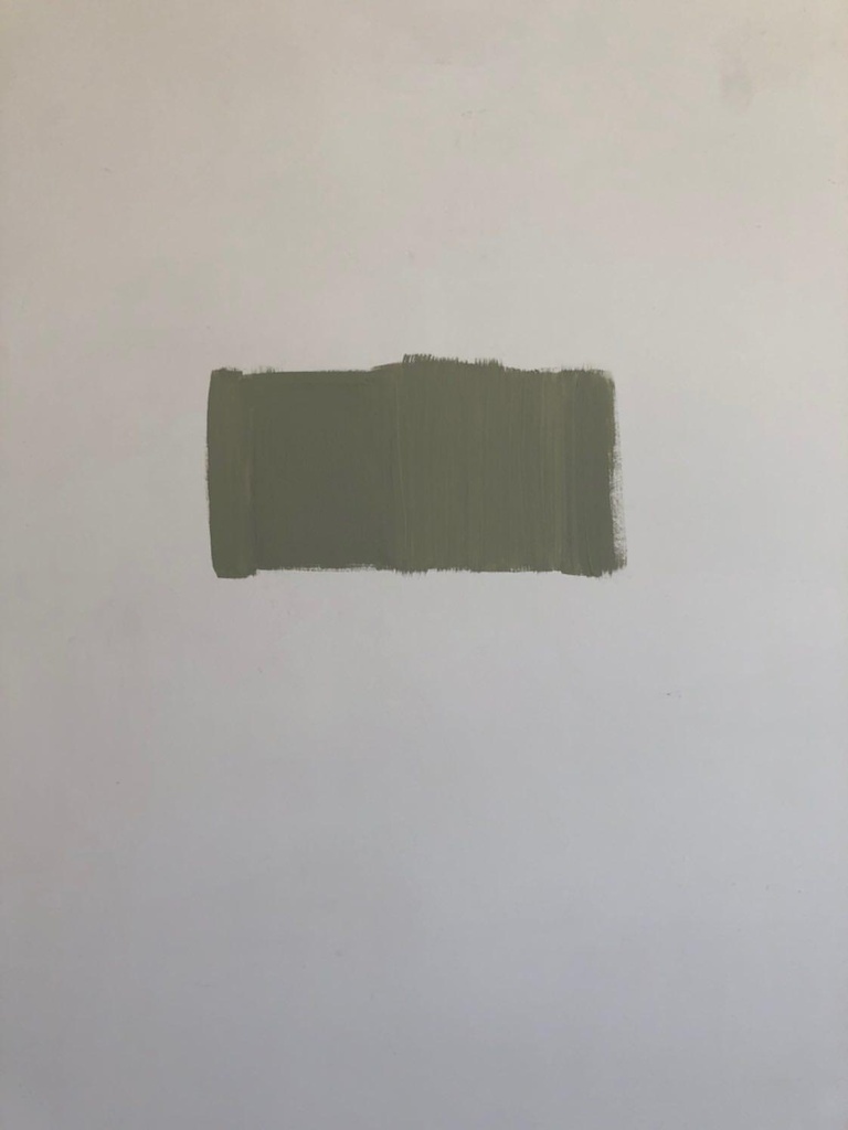 CONSCIENT & Sauvage - Vert Olive